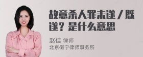 故意杀人罪未遂／既遂？是什么意思