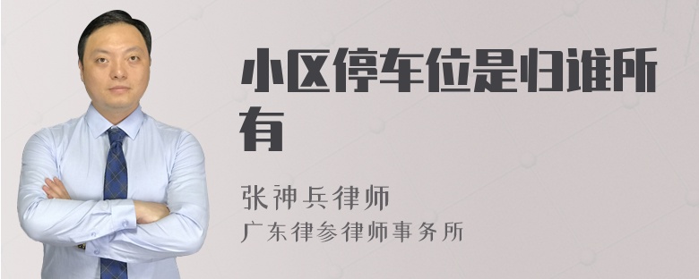 小区停车位是归谁所有