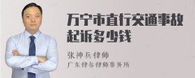 万宁市直行交通事故起诉多少钱