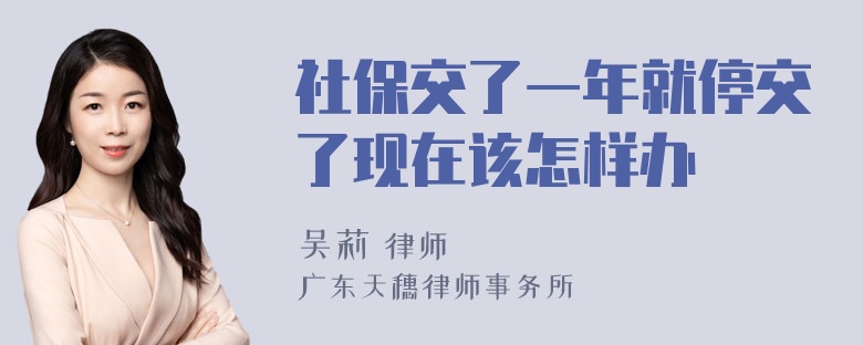 社保交了一年就停交了现在该怎样办