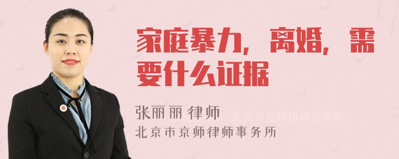 家庭暴力，离婚，需要什么证据