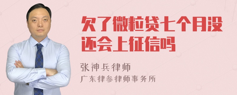 欠了微粒贷七个月没还会上征信吗