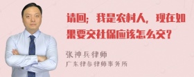 请回；我是农村人，现在如果要交社保应该怎么交？