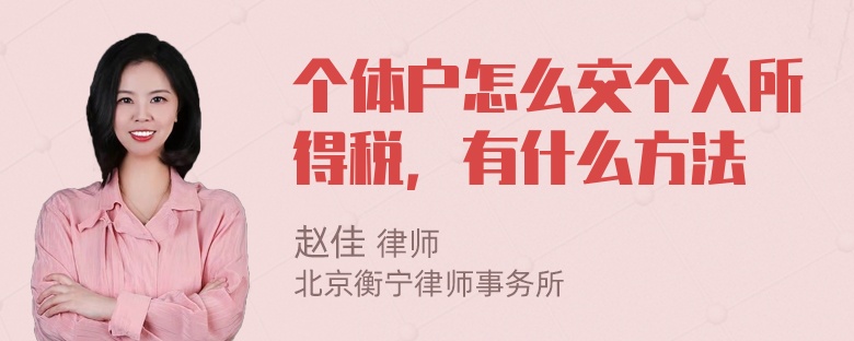 个体户怎么交个人所得税，有什么方法