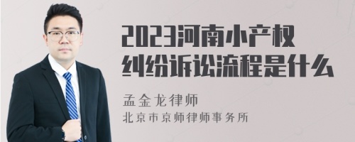 2023河南小产权纠纷诉讼流程是什么