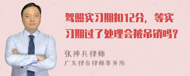 驾照实习期扣12分，等实习期过了处理会被吊销吗？