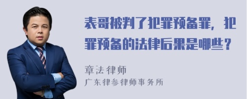 表哥被判了犯罪预备罪，犯罪预备的法律后果是哪些？