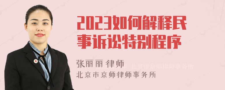 2023如何解释民事诉讼特别程序