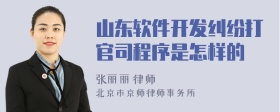 山东软件开发纠纷打官司程序是怎样的