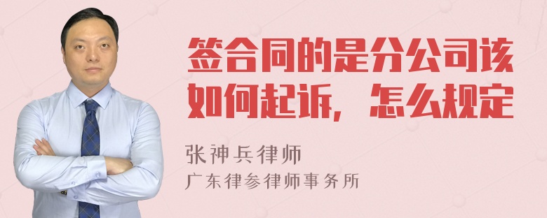 签合同的是分公司该如何起诉，怎么规定