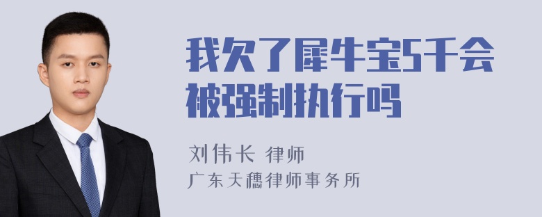 我欠了犀牛宝5千会被强制执行吗