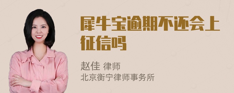 犀牛宝逾期不还会上征信吗