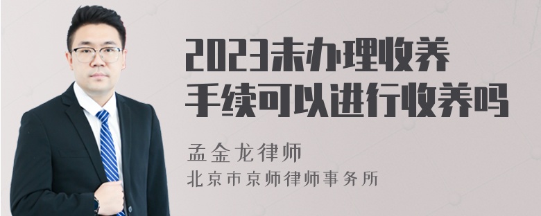 2023未办理收养手续可以进行收养吗