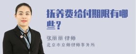 抚养费给付期限有哪些？