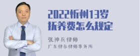 2022忻州13岁抚养费怎么规定