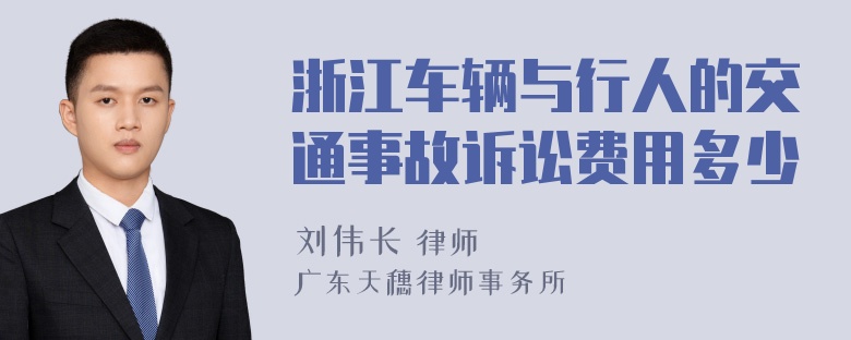 浙江车辆与行人的交通事故诉讼费用多少