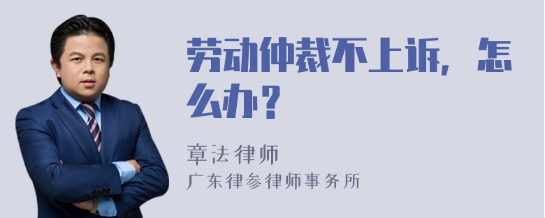 劳动仲裁不上诉，怎么办？