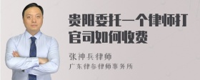 贵阳委托一个律师打官司如何收费