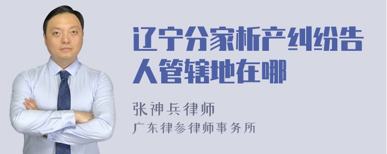 辽宁分家析产纠纷告人管辖地在哪