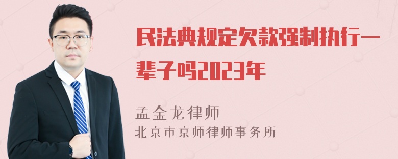 民法典规定欠款强制执行一辈子吗2023年