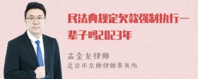 民法典规定欠款强制执行一辈子吗2023年