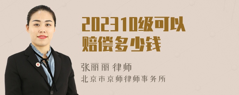 202310级可以赔偿多少钱