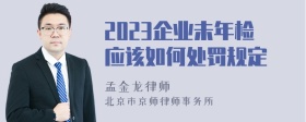 2023企业未年检应该如何处罚规定