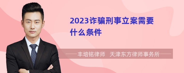 2023诈骗刑事立案需要什么条件