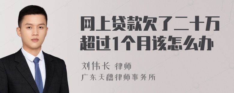 网上贷款欠了二十万超过1个月该怎么办