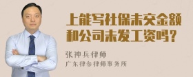 上能写社保未交金额和公司未发工资吗？