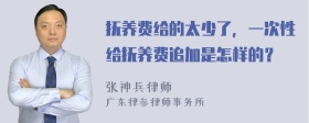 抚养费给的太少了，一次性给抚养费追加是怎样的？