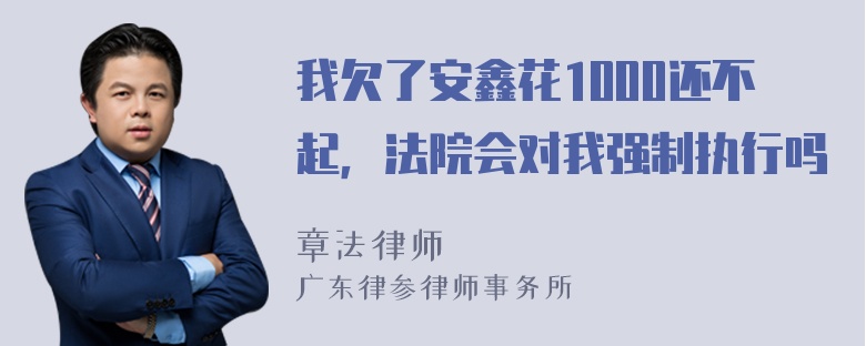 我欠了安鑫花1000还不起，法院会对我强制执行吗