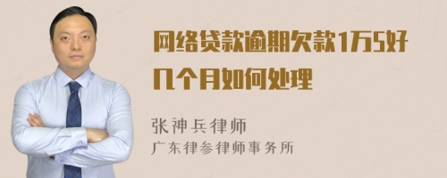 网络贷款逾期欠款1万5好几个月如何处理