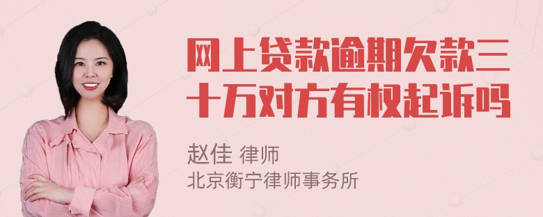 网上贷款逾期欠款三十万对方有权起诉吗