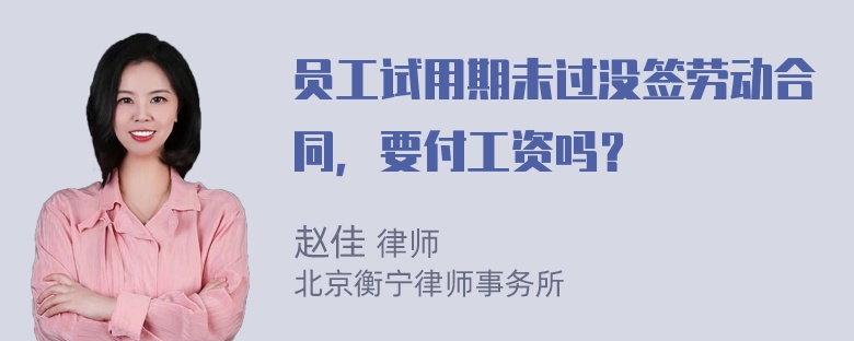 员工试用期未过没签劳动合同，要付工资吗？