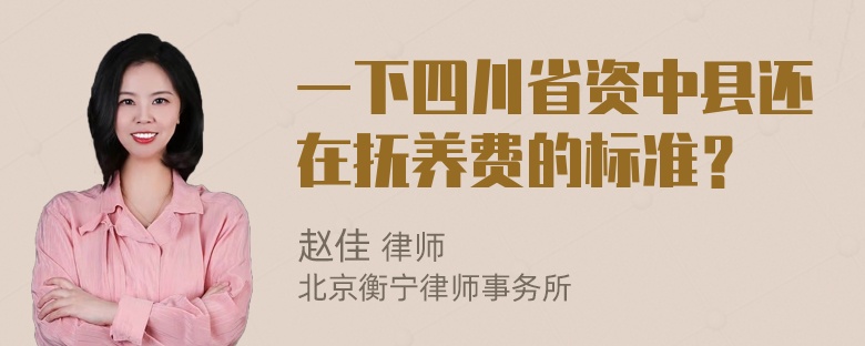 一下四川省资中县还在抚养费的标准？