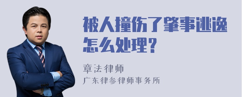 被人撞伤了肇事逃逸怎么处理？