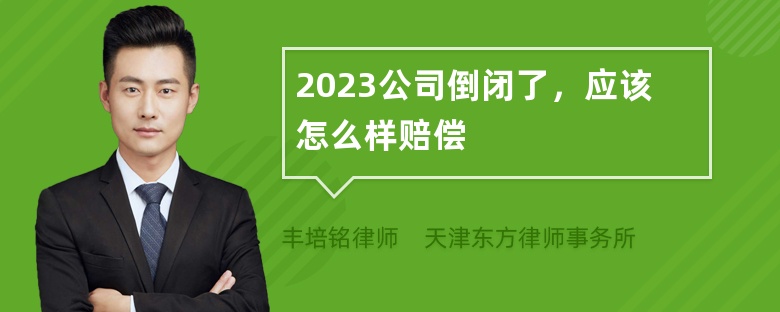 2023公司倒闭了，应该怎么样赔偿