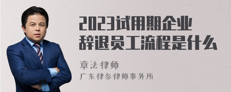 2023试用期企业辞退员工流程是什么