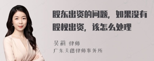 股东出资的问题，如果没有股权出资，该怎么处理