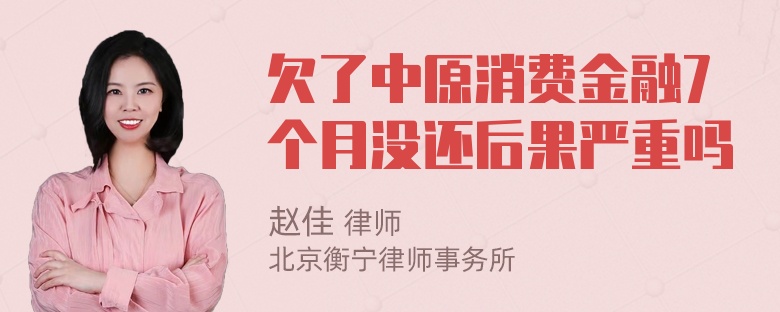 欠了中原消费金融7个月没还后果严重吗