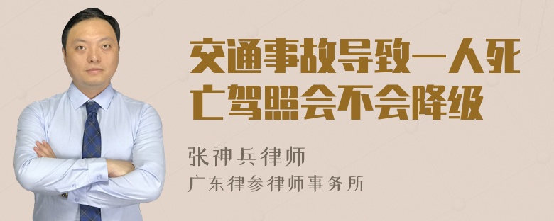 交通事故导致一人死亡驾照会不会降级