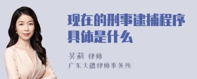 现在的刑事逮捕程序具体是什么