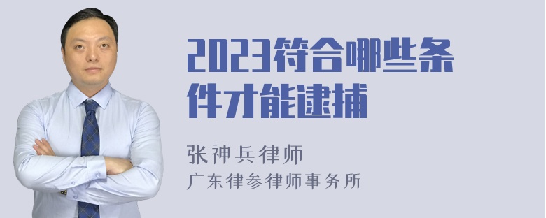 2023符合哪些条件才能逮捕