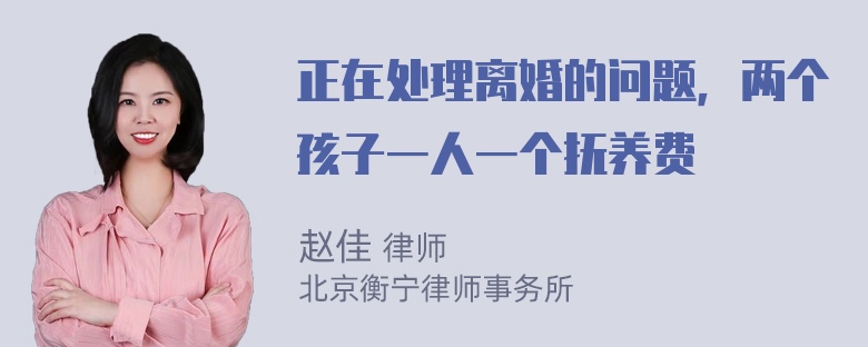 正在处理离婚的问题，两个孩子一人一个抚养费