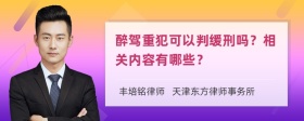 醉驾重犯可以判缓刑吗？相关内容有哪些？