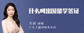 什么叫出国留学签证