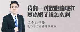 我有一对双胞胎现在要离婚了该怎么判