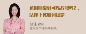 试用期没到可以辞职吗？，法律上该如何规定