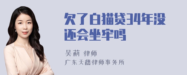 欠了白猫贷34年没还会坐牢吗